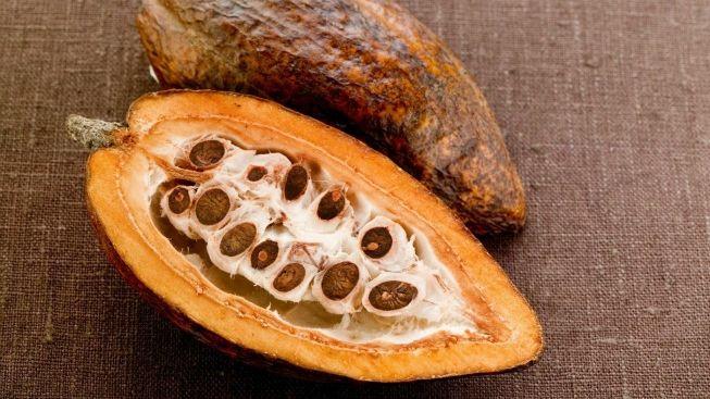 Какао бобы – для энергии и хорошего настроения